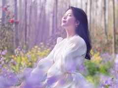 -合肥滨湖国家森林公园