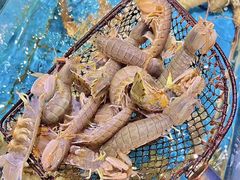 -好兄弟郭巨海鲜(天一阁店)