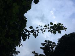 -丁香湖公园