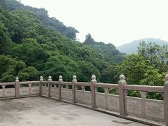 -鼎湖山风景区