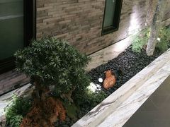 -小厨娘淮扬菜(六合欢乐港店)