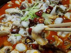 -百岁我家酸菜鱼(龙湾万达店)