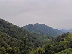 -十里琅珰