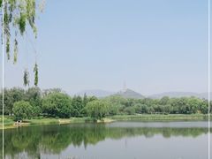 -北坞公园