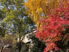 -狼山风景名胜区