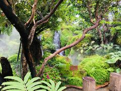 -Chom Cafe and Restaurant