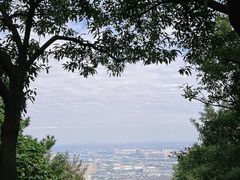 -惠山国家森林公园
