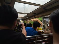 -清迈夜间动物园