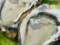 生蚝-金龙·打边炉(武进路店)
