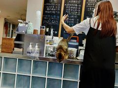 -有猫主题·治愈系猫咖(曾厝垵店)