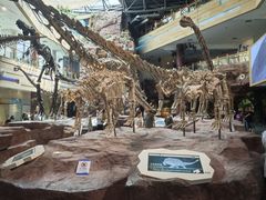 -安徽省地质博物馆