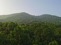 -杭州半山国家森林公园