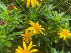 -重庆中央公园(渝北区)