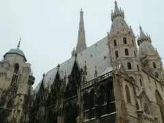 -斯蒂芬主教座堂(Stephansdom)