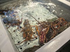 -万龙洲海鲜(南新仓店)