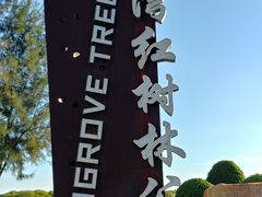 -宝安西湾红树林湿地公园