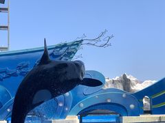 -上海海昌海洋公园