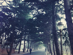 iphone_upload_pic-八大关景区