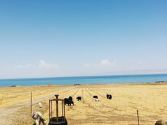 -青海湖国家重点风景名胜区