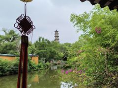 -江心屿景区