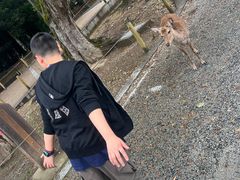 -奈良公园