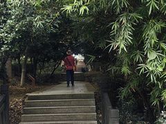 -九龙潭景区