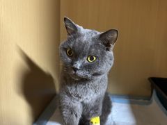 -谐和贝康宠物医院24小时·宠保定点(急重症转诊中心)