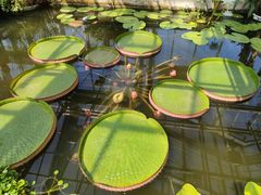 -国家植物园南园