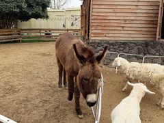 -HERRE·FARM 赫尔露营农场·团建聚会包场