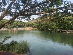 -白马涧龙池景区