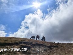 -灵山