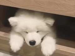 -老乡鸡(新邻天地店)