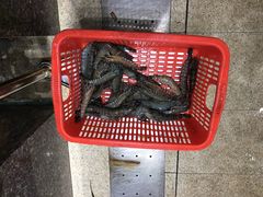 -蚝专家(北滘店)