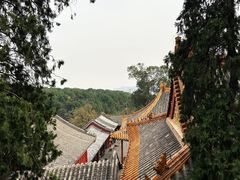 -法海禅寺