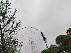 -南昌之星摩天轮