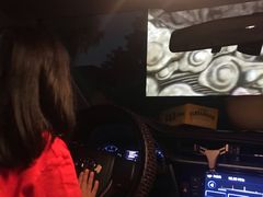 -枫花园汽车电影院(朝阳公园店)