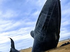 -烟台金沙滩海滨公园