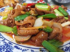 爆炒肥肠-何哥鲜鱼餐厅(龙湖花园店)