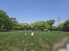 -幕燕滨江·长江观音景区
