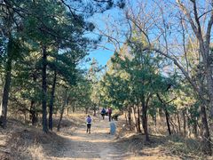 -香山公园