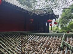-老君山