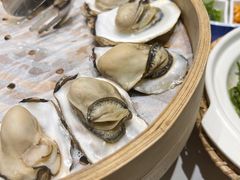 北海道生蚝原味蒸-新海渔港·胶东海鲜家常菜·家宴(奥体中心店)