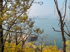 -烟台山景区