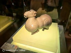 -南京博物院