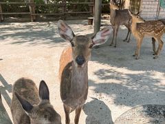 -波塞冬旅游度假区
