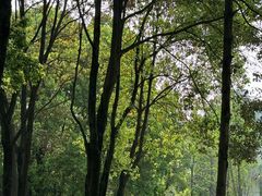 -沙河三洞古桥公园