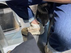 -乐果甜心·潮汕冰室(南澳后宅分店)