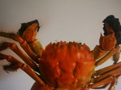 -盒马鲜生(宝地店)