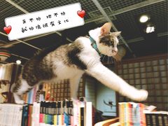 -小时光咖啡馆(开森度假森林店)