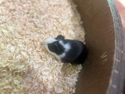 -Zoolung Zoolung动物主题公园(海信广场店)